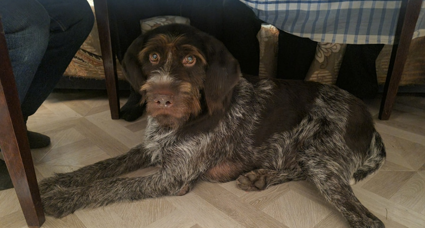    Фото Анастасии Дмитриевой