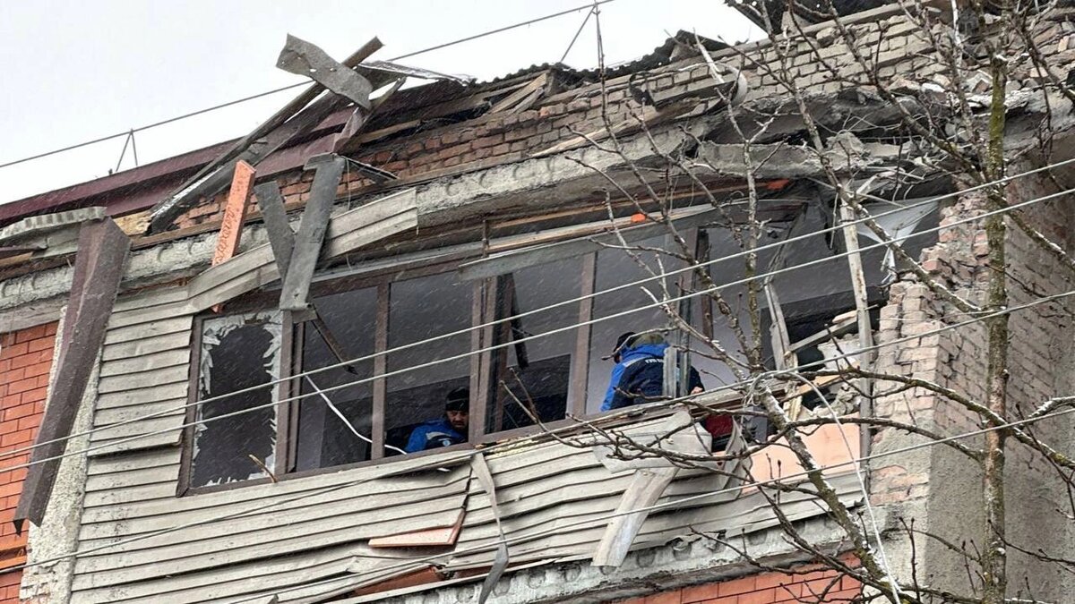    Фото: открытый источник