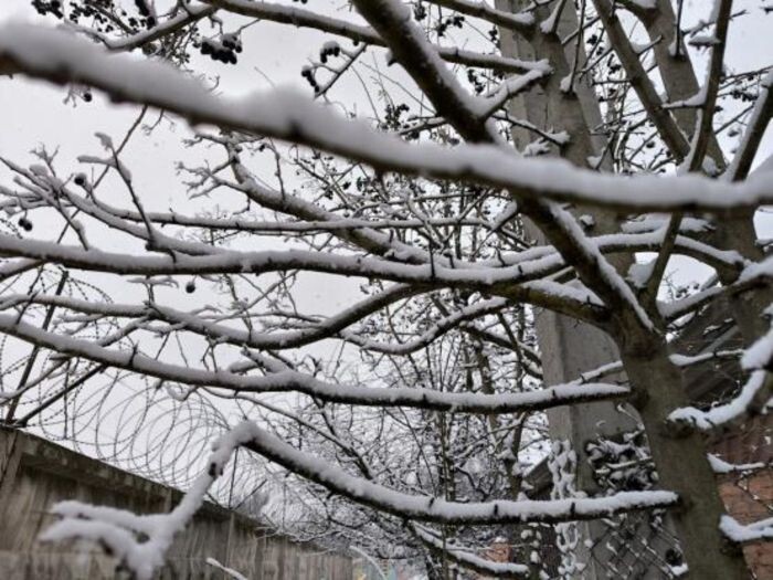 Иллюстрация: © «Панорама»