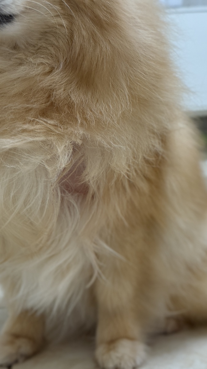 Но вот сбоку уже видно