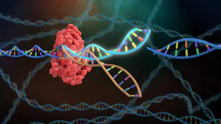 Технология CRISPR/Cas9 — молекулярные ножницы.