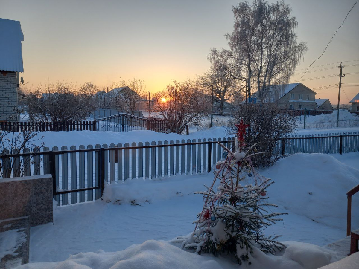 Рассвет 18.01.26 из моего окна. Ёлку занесло снегом. Теперь будет у меня долго стоять.