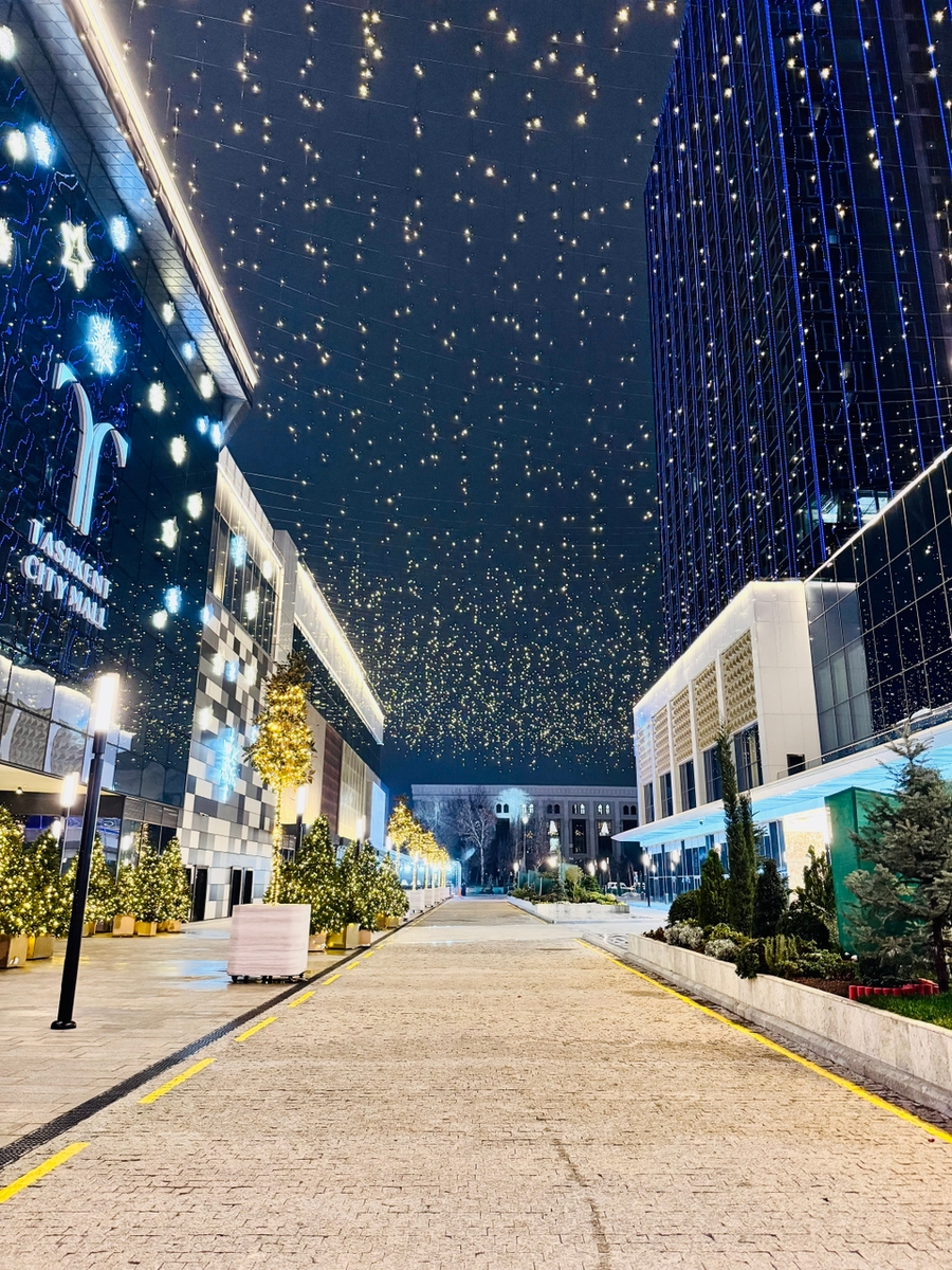 Ташкент, январь 2026