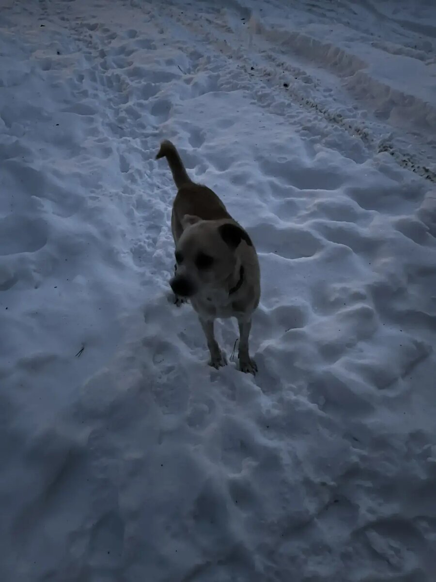 Фото Алины. Наш Малыш