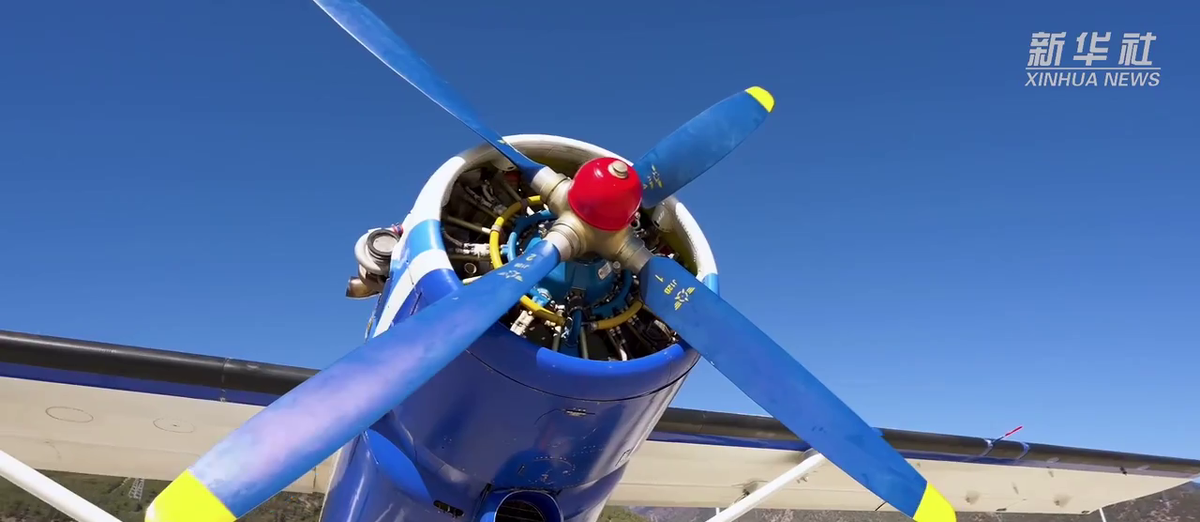 Скриншот видео Xinhua News  📷
