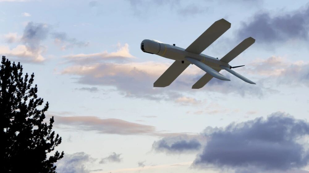    Фото: Anelo/Shutterstock/Fotodom