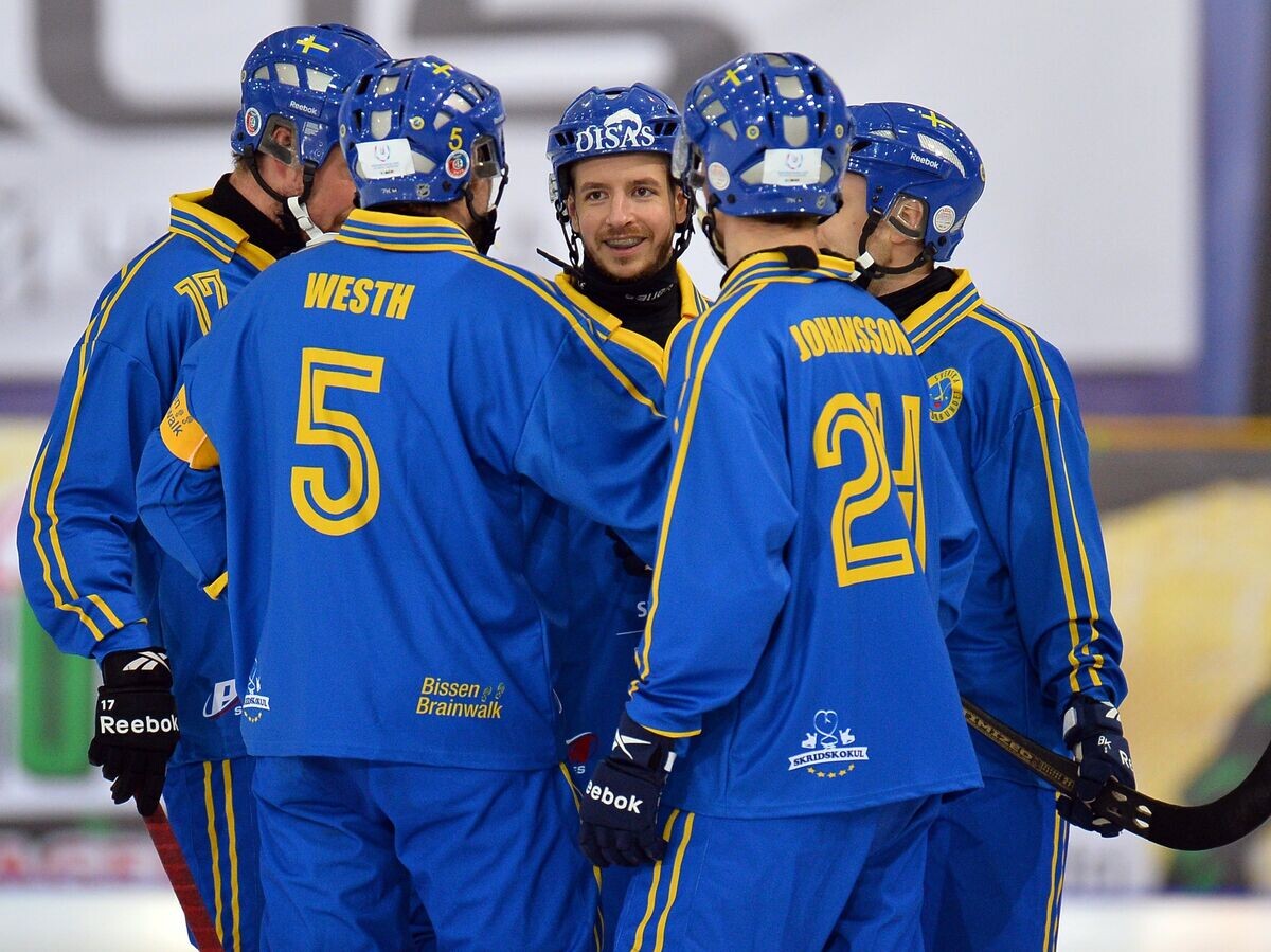    Игроки сборной Швеции радуются заброшенному мячу | © РИА Новости / Максим Богодвид