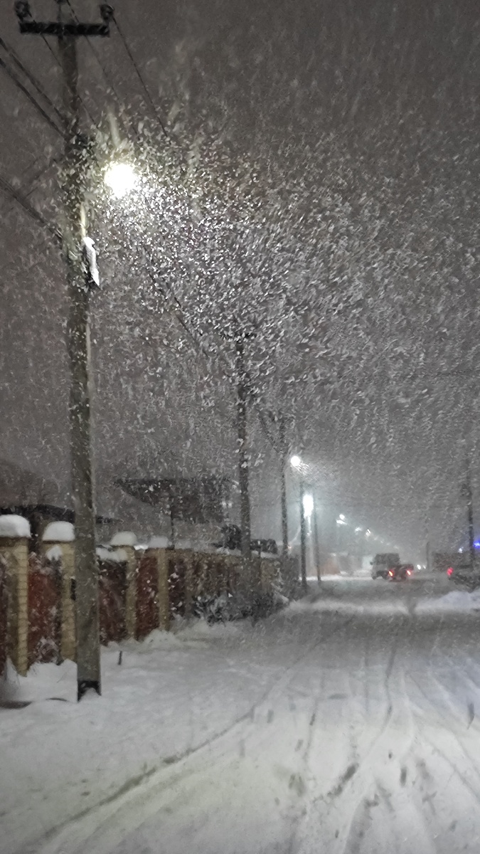 Снег кружится, летает. 