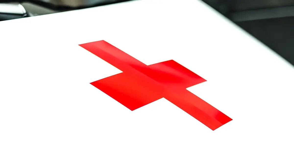    Фото: vm.ru Полина Белоусова