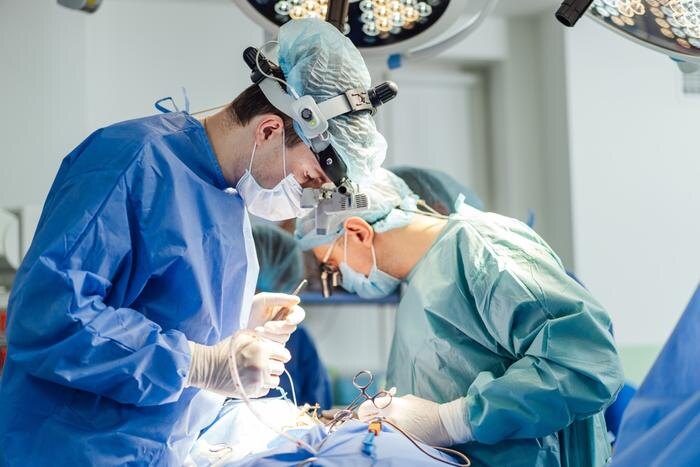 Обложка © Shutterstock / FOTODOM / Terelyuk