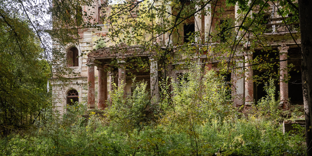 Усадьба Павлищев Бор вновь перешла в руки частного инвестора и готовится к реставрации.