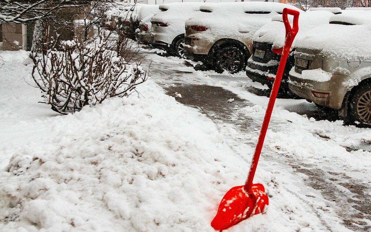 Фото: Roman Denisov / Global Look Press