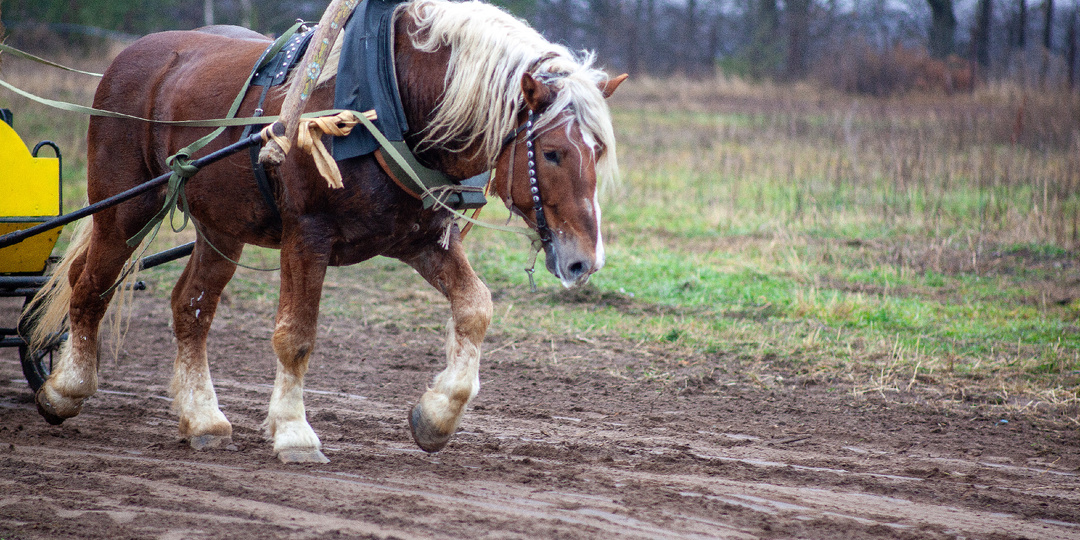 Не стоит на себя брать слишком много - большая нагрузка ни к чему хорошему не приведет