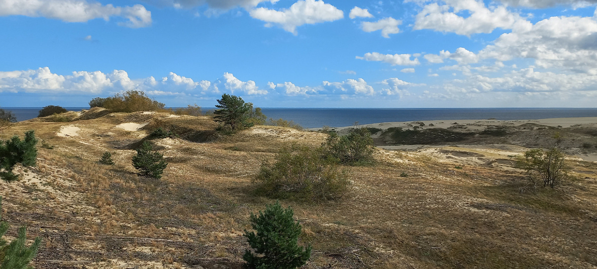 Экологическая тропа "Высота Эфа"