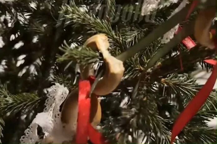    фото: Телеграм-канал Readovka.