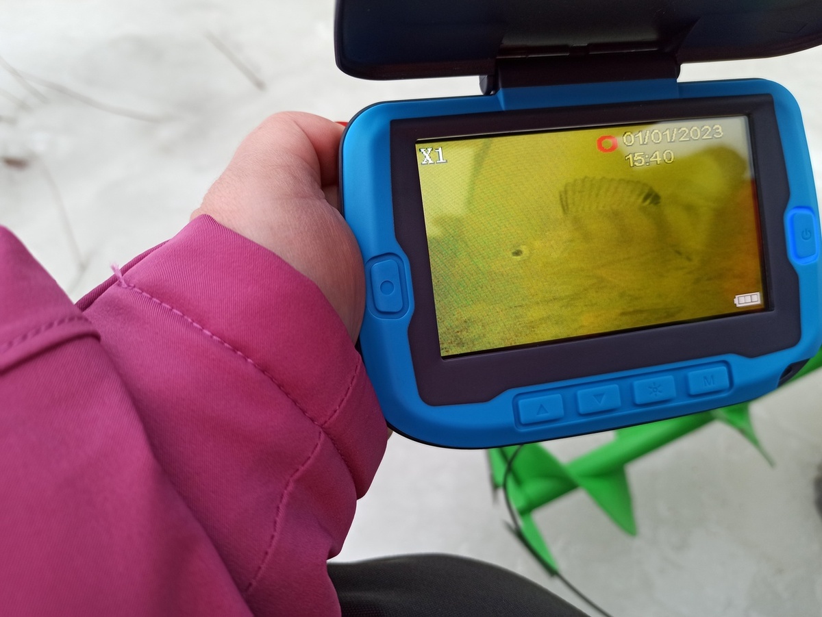 Окунь на экране подводной камеры Calypso UVS-02 Plus. Источник: Людмила Галактионова