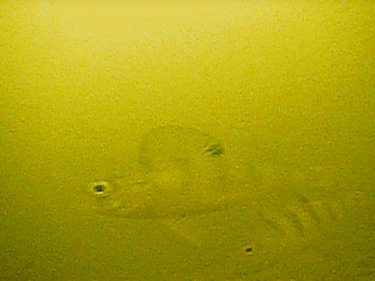 Окуни на Можайском водохранилище. Снято на камеру Calypso UVS-03 Plus на глубине 2,5 метра