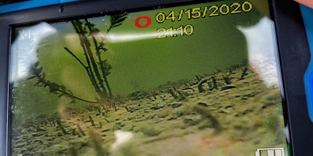 Почему подводная камера плохо показывает? Главные причины мутной картинки