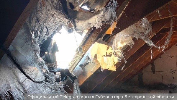     Фото: Официальный Telegram-канал Губернатора Белгородской области   
 Текст: Антон Антонов