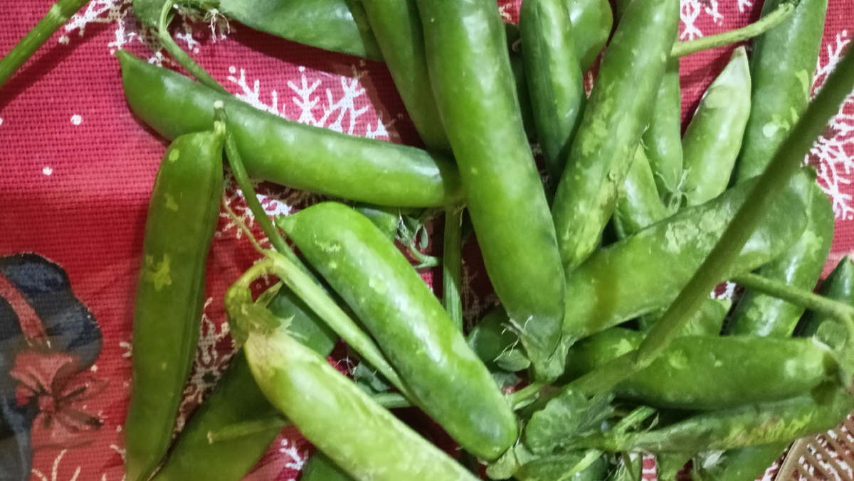 Можете представить свежий горох в январе? я нет 🙂