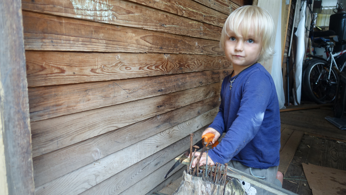 Сын с детства любил шуроповерт, молоток и пилу. Хочется сказать, что это мы его приучали к труду, но он сам это выбрал - мы только за обеспечением безопасности следили