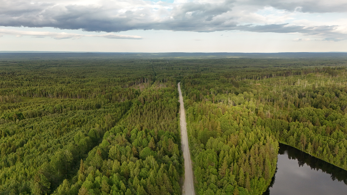 Дорога между Петрозаводском и поселком Гимолы. 