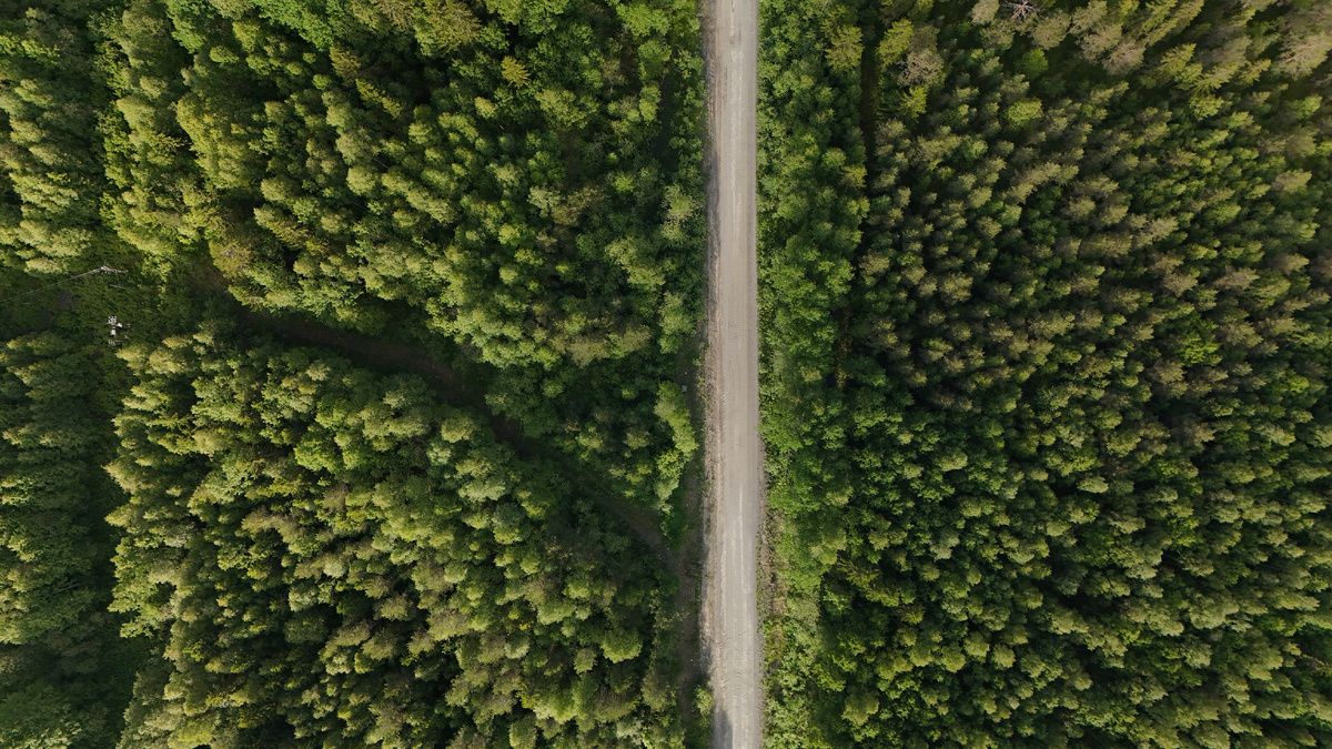 Недолеко от поселка Суккозеро. 