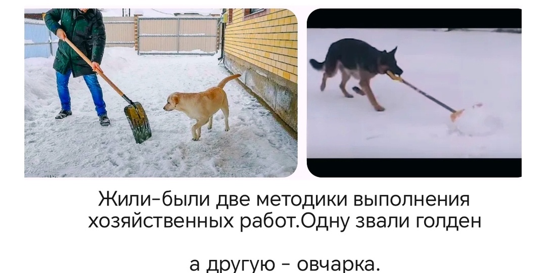 Перлы от собачников. Часть 97.