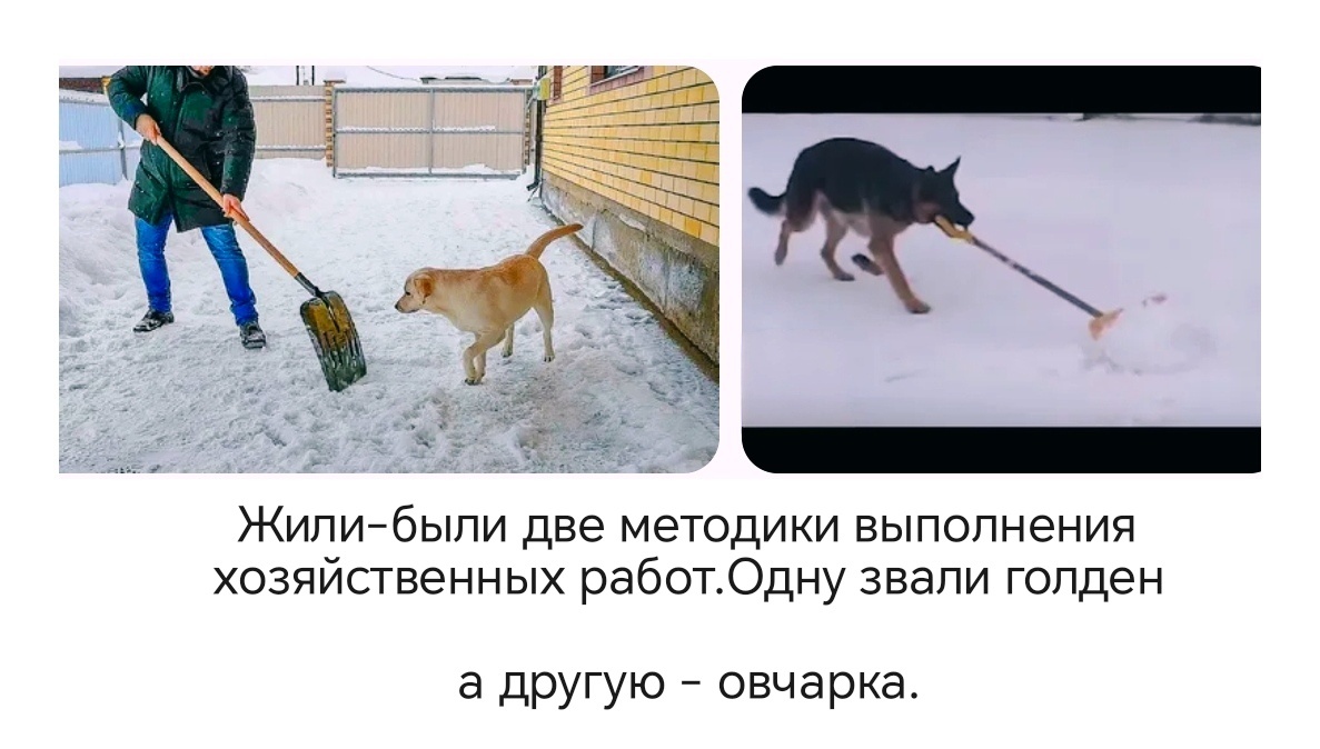 Оба фото из интернета в обработке автора 