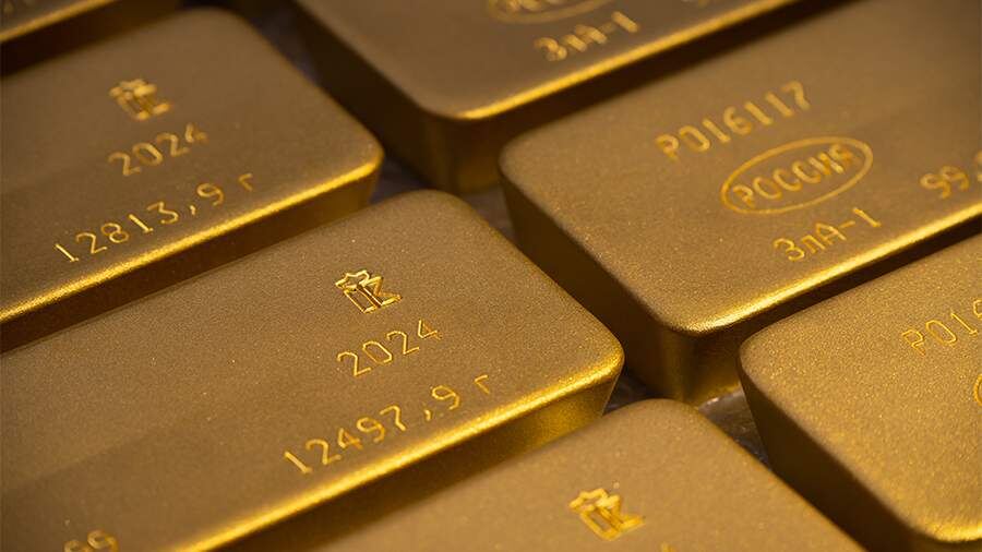    Фото: ТАСС/Александр Манзюк