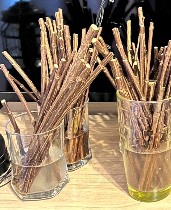 Черенки Fraise Melba. Поставила в воду 2 марта 2025 года.