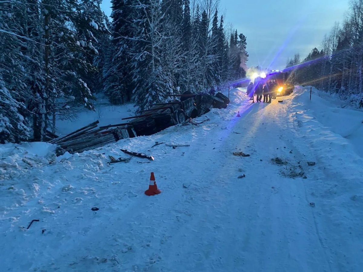    Водитель остался в легковушке, когда ее завалило лесом