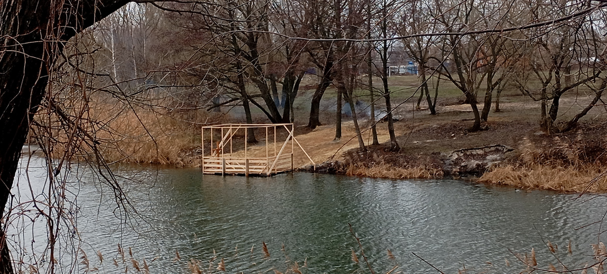 Фото автора. 20 января 2025г. Река Усманка.