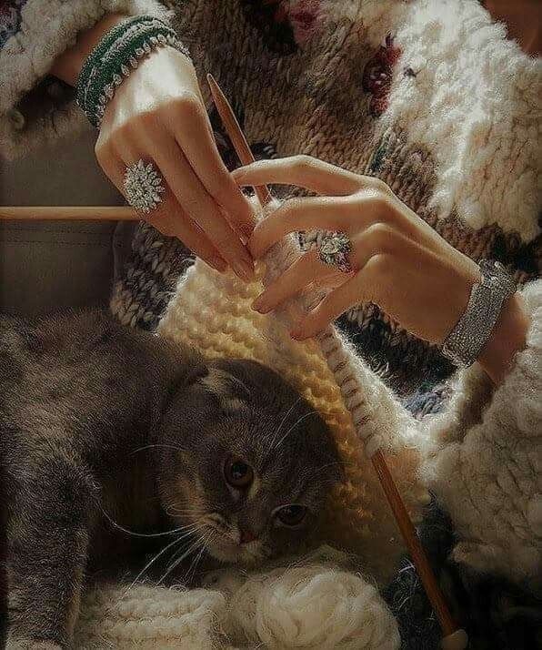 Фото из интернета 