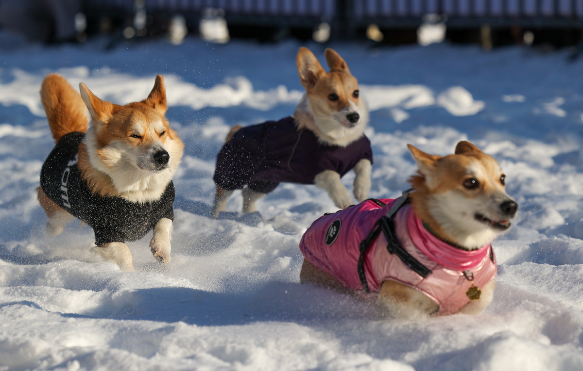 Антон Вергун/ТАСС