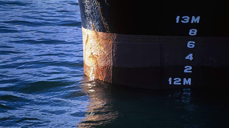    Фото: Global Look Press/Leonid Dubeykovskyi