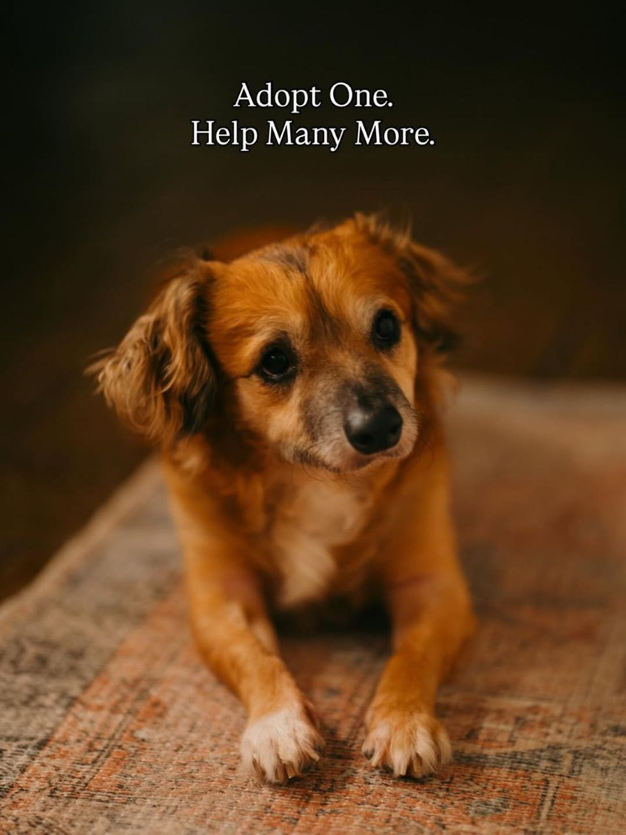 Фотографии взяты с официального канала Iнстaгрamm: @tikiplustwo