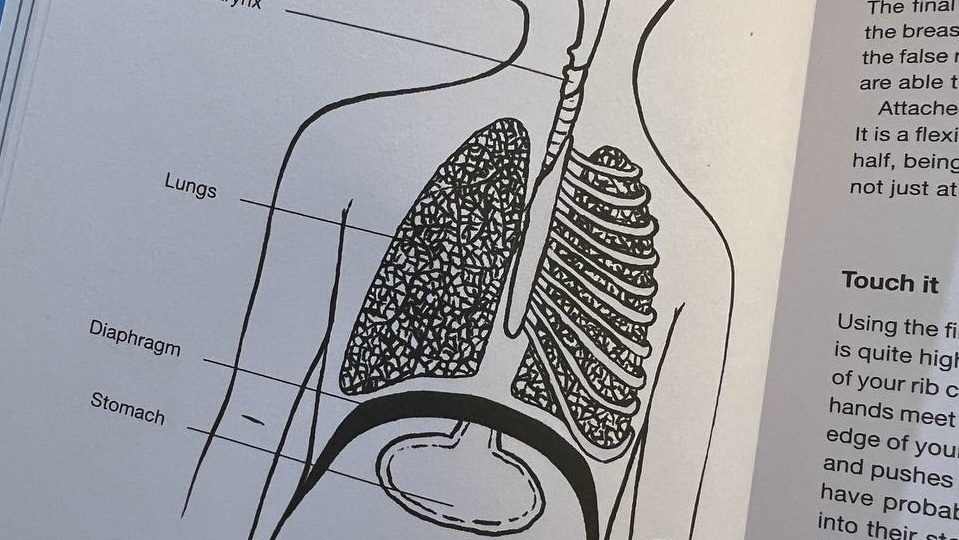 🎙️ Подсвязочное давление: что это вообще и почему про него говорят