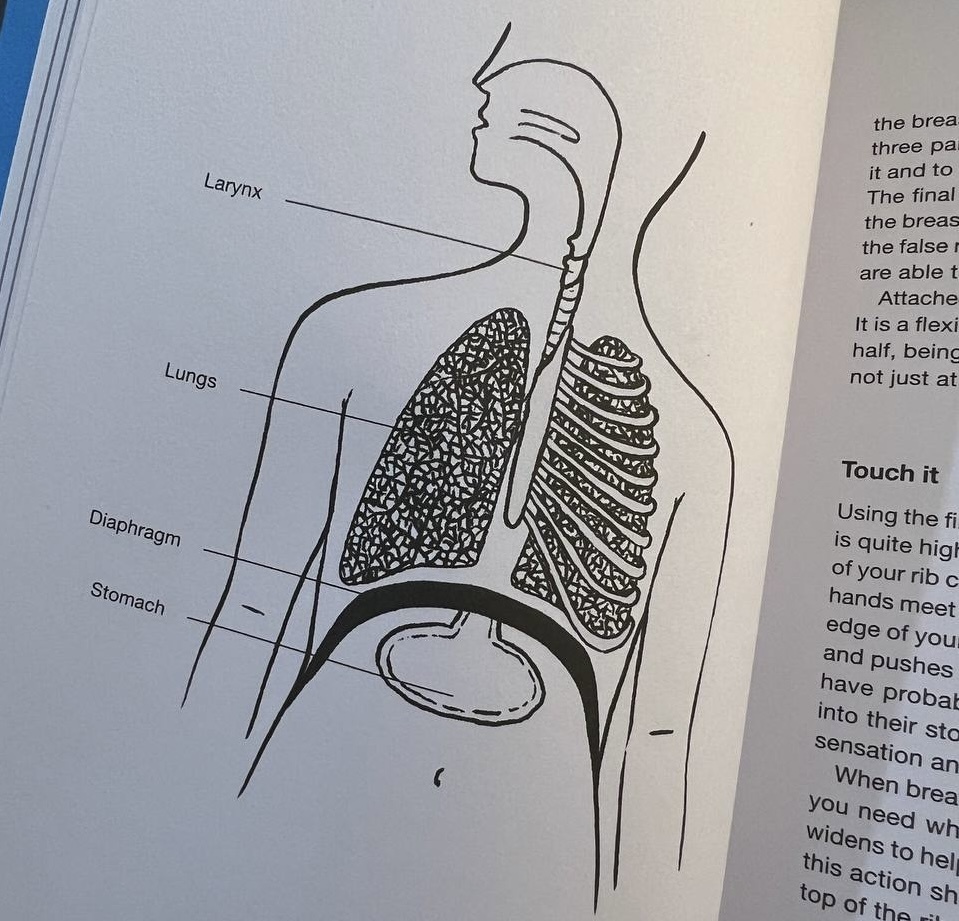 Подсвязочное давление и дыхание в вокале