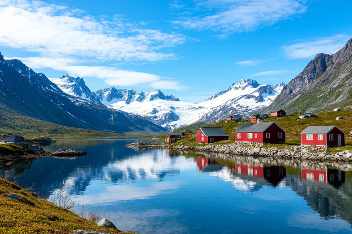    Фото: коллаж RuNews24.ru