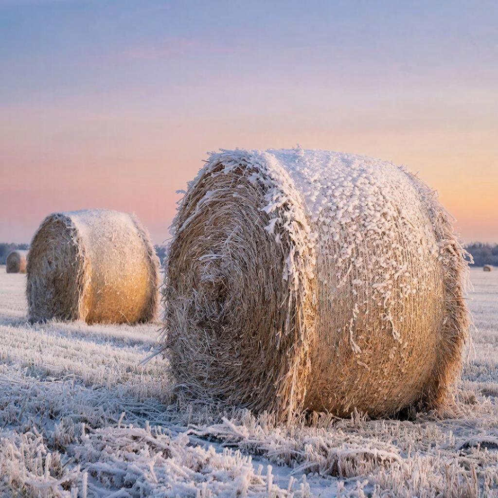 Изображение сгенерировано  нейросетью по запросу автора