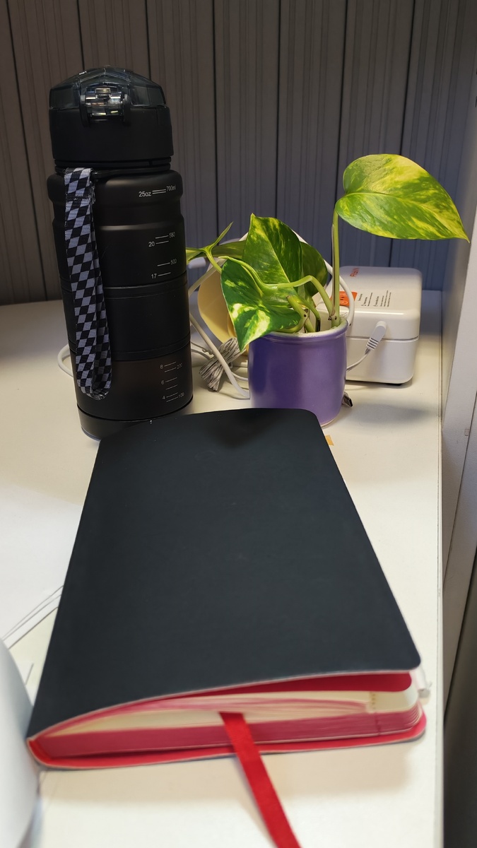 С началом новой рабочей недели всех