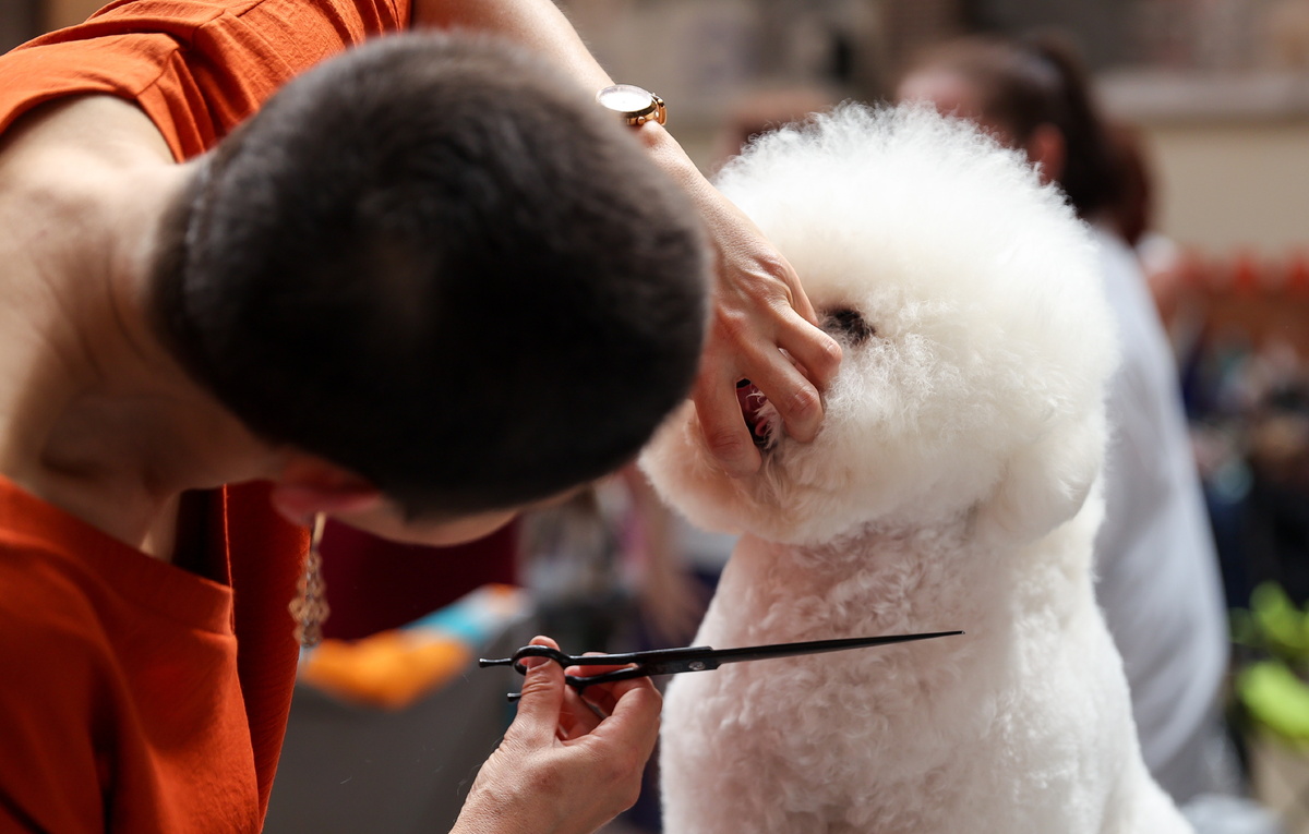 Валерия Калугина/ТАСС