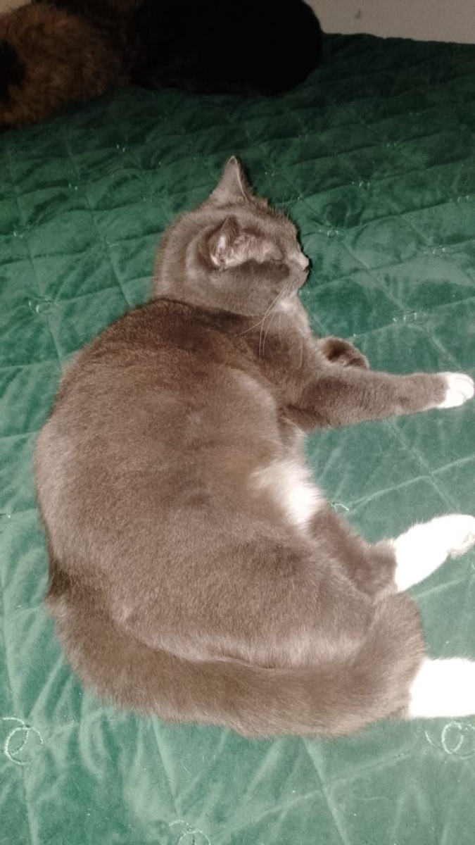 Её величество Мария почивать изволит