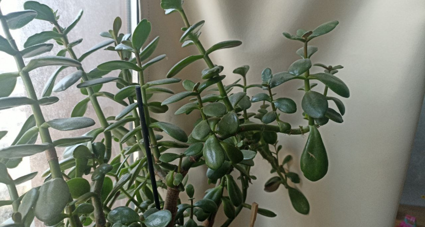    Фото из архива редакции