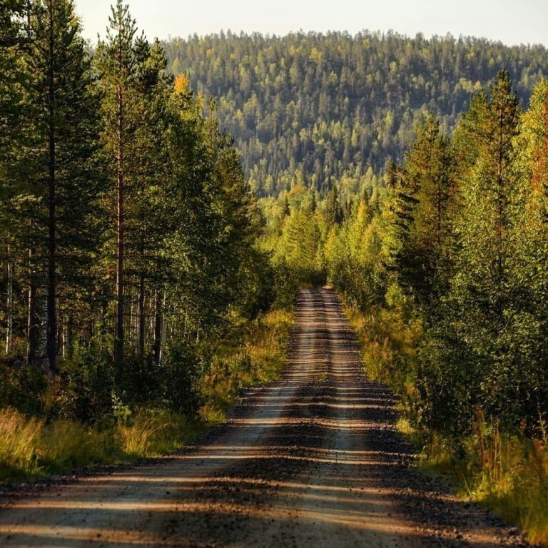 1. Дорога на Золотую Гору