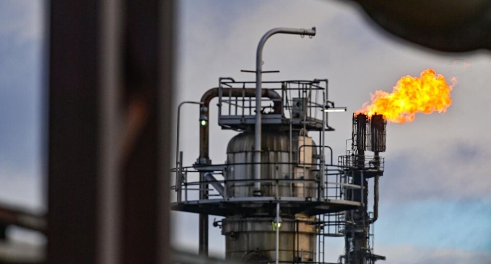    Patrick Pleul/dpa / www.globallookpress.com