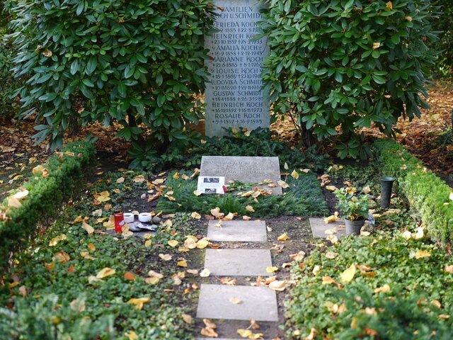    Фото: ТАСС/dpa/picture-alliance/Marcus Brandt