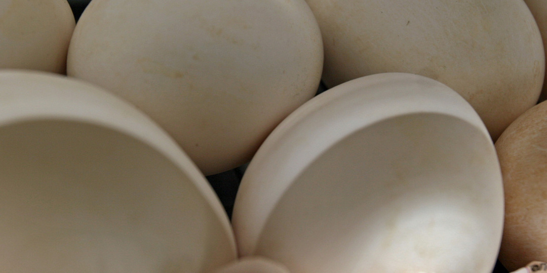 Администрация США и власти Калифорнии встретятся в суде по «яичному спору»