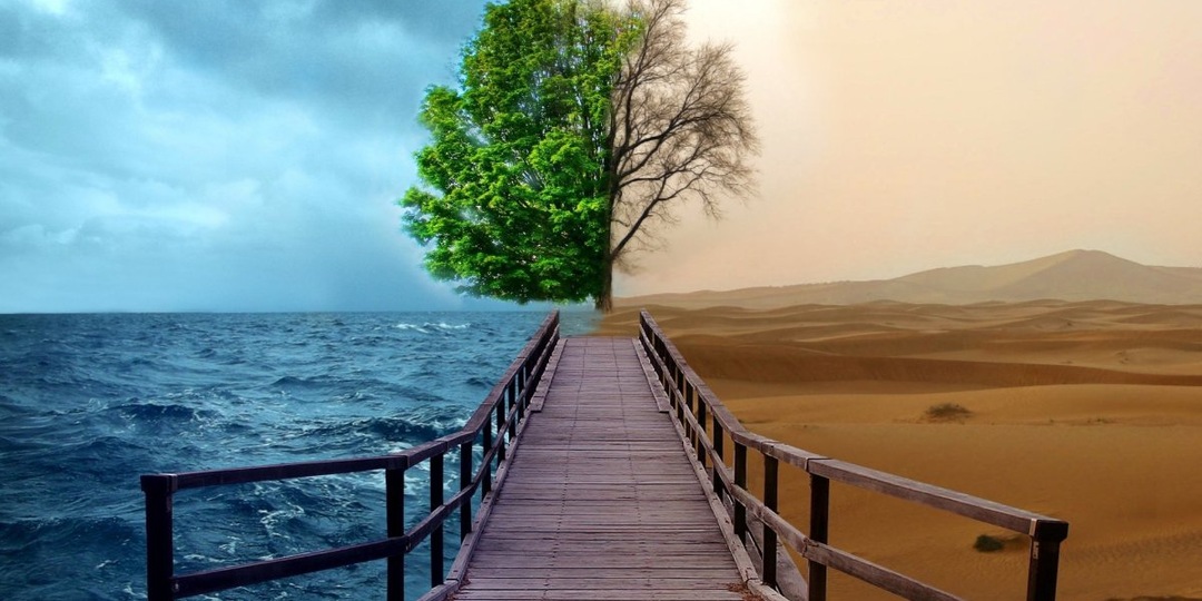 Как не прислушиваться к себе? Вопрос/ответ